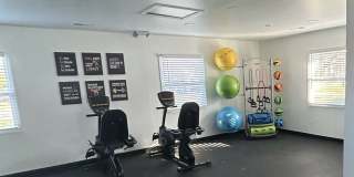 Steeplechase Village Gallery 3