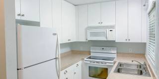 Hottest location, unit available near best beaches and downtown Gallery 7