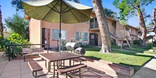 Beautiful 2 bedroom 1 Bath Unit Gallery 1