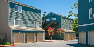 Waterscape Gallery 16