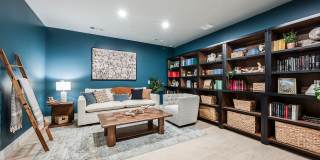 Arcadia 331 Gallery 19