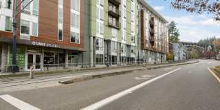 Tanner Flats Gallery 30
