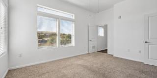 Radius on Grove Radius on Grove Gallery 11