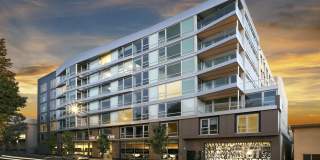 The Addison Berkeley Gallery 2