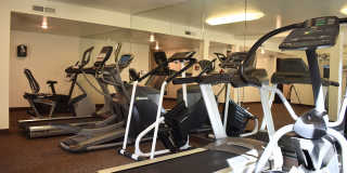 Encino Palms Gallery 9