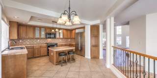 9589 Ancala Hollow Court Gallery 12