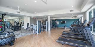 Populus Waterside Gallery 12