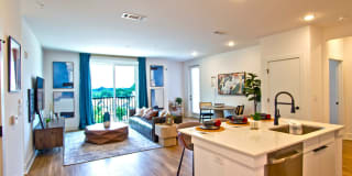 Spectator Atlanta Gallery 15