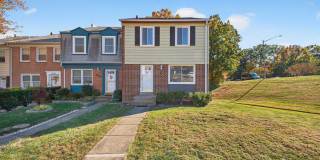 12462 SKIPPER Gallery 1