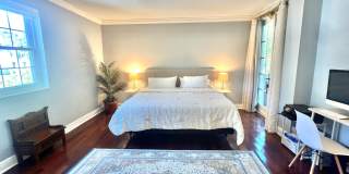 226 Brazilian Avenue Gallery 17
