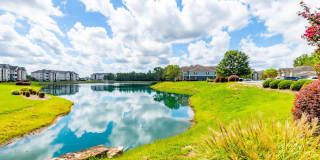 Summer Lake Gallery 10