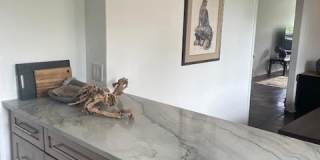 40 OLD LANCASTER ROAD Gallery 11