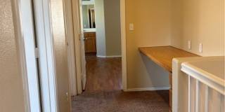 9911 Wingate Creek Court Gallery 14