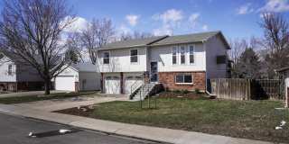 Beautifully Updated 4B/2B in Central Fort Collins! Quiet Neighborhood! Gallery 1