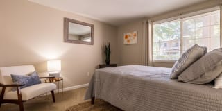 The Seasons Gallery 9