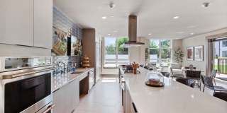 Canter Green Gallery 29