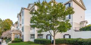 Alexander at Stonecrest Apartments Gallery 31