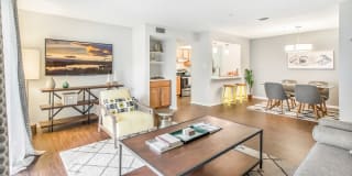 Sawyer Flats Gallery 16