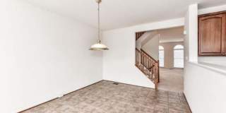 21759 LADYSLIPPER Square Gallery 14