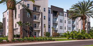 Grand Cypress Gallery 36