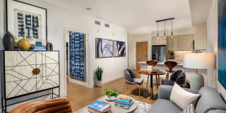Azul North Park Gallery 5