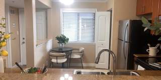 Fountain Lake Bradenton Gallery 45