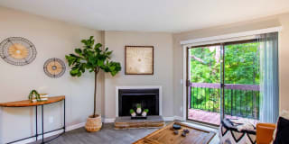 Haven Apartments Gallery 1