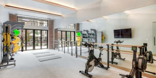Monarch Gallery 23