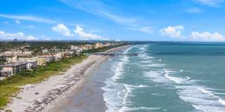 Dolphin Beach Gallery 26