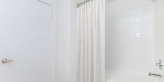 Vineyards Gallery 146