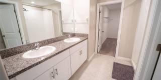 9831 LEMON DROP Loop Gallery 27