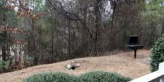 342 Bubble Creek Court - 1 Gallery 34