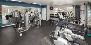 Williamsburg Gallery 9