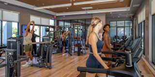 Portofino Vineyards Gallery 5