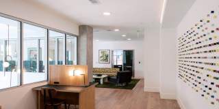 Alta Mile High Gallery 21