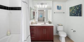 909 Apartments Gallery 12