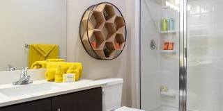 The Place at Sonoran Trails Gallery 18