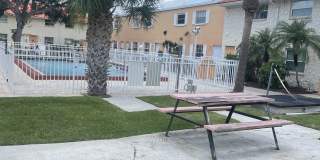 50 Needle Boulevard - 35 Gallery 1