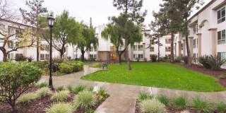 Santa Teresa Gallery 4