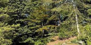 663 High Ridge Road Gallery 4