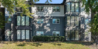 Avana Collins Creek Gallery 31