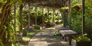 Regents Park Gallery 13