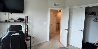 42556 SHANDWICK Terrace Gallery 14