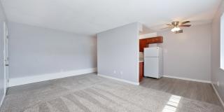 The Canopy Gallery 25