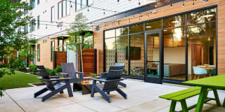 Novus Woodstock Gallery 16