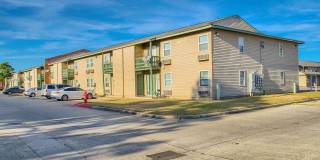 Carmel Spring Gallery 7