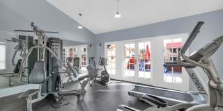 Urban Walk Gallery 27