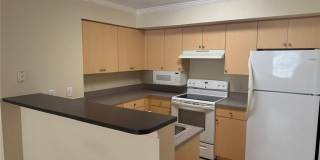 8735 River Homes Ln unit: 6104 Gallery 12