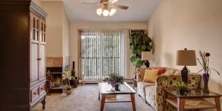 Town Centre Apartments Gallery 1