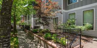 Fairview Village Gallery 17